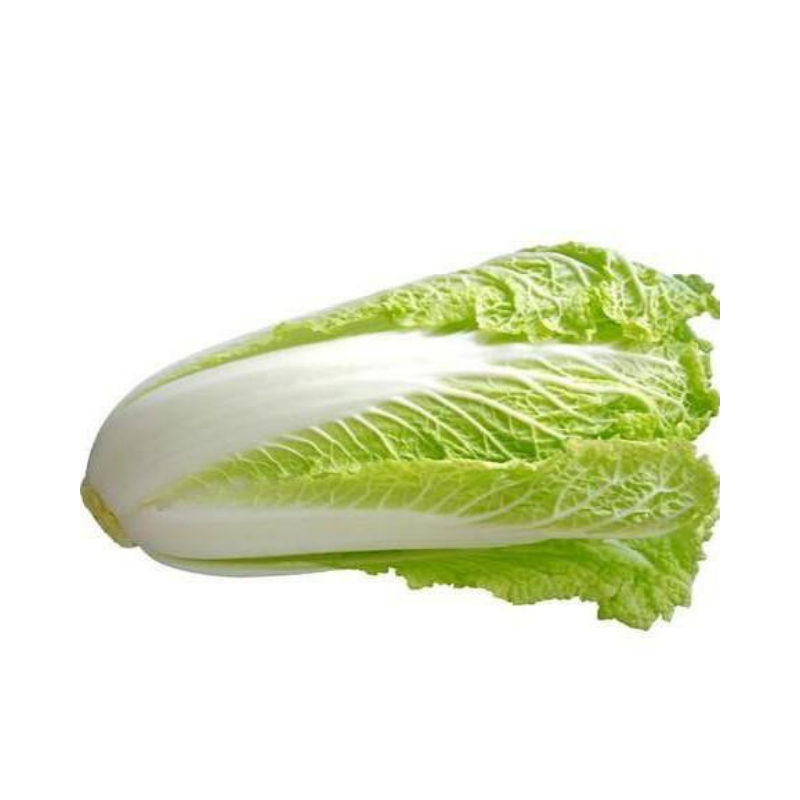 Organic Chinese Cabbage Organic Chinese Cabbage