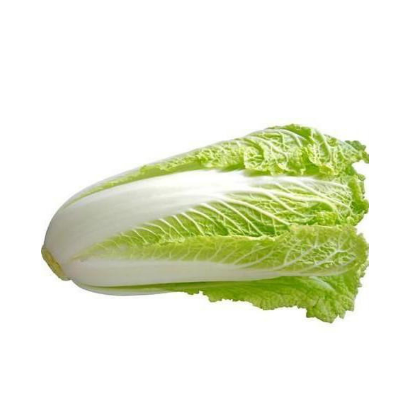 Organic Chinese Cabbage