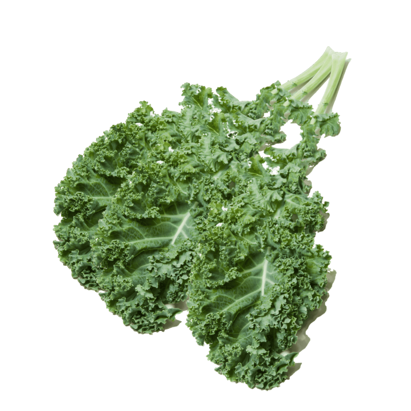 Organic Curly Kale Organic Curly Kale