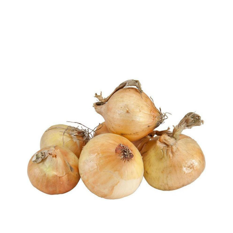 Organic Onion Organic Onion