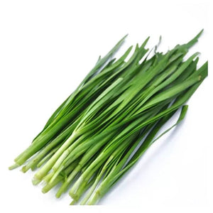 Organic Chinese Chives