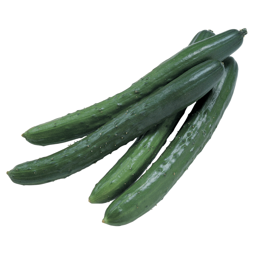 Organic Cucumber Organic Cucumber