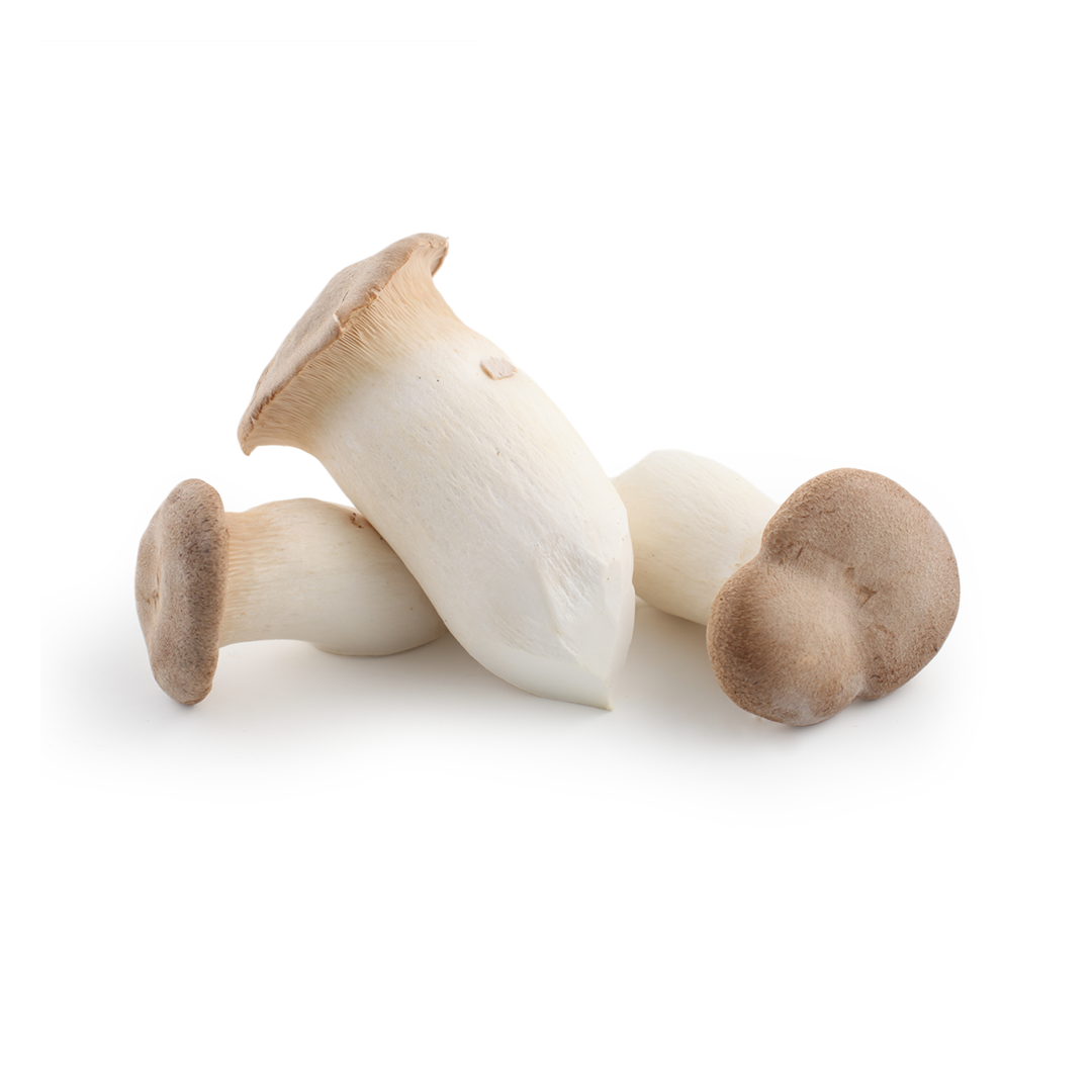 Organic King Oyster Mushroom Organic King Oyster Mushroom