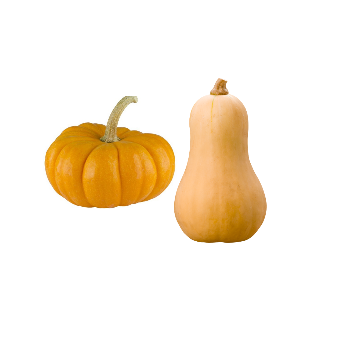 Organic Pumpkin or Butternut Squash Organic Pumpkin or Butternut Squash