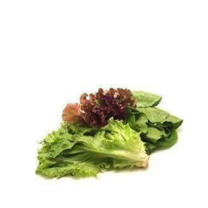 Organic Salad Mix Lettuce