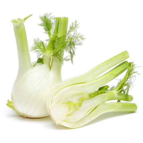 Organic Fennel (No Leaves) Organic Fennel (No Leaves)
