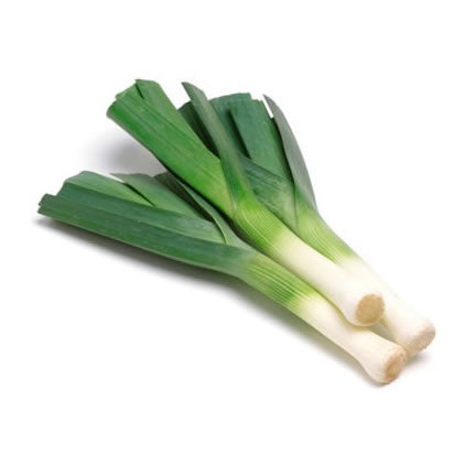 Organic Leek Organic Leek