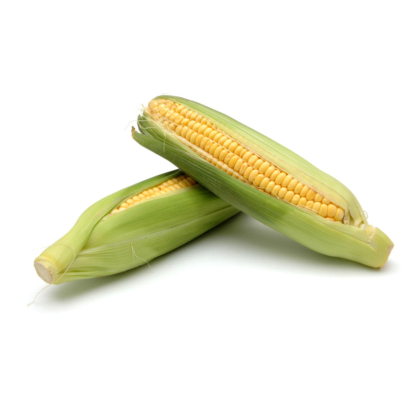 Organic Sweet Corn