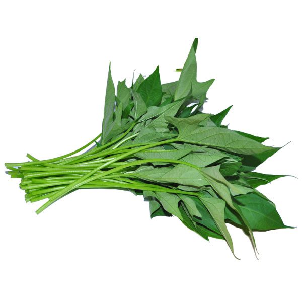 Organic Sweet Potato Leaves Organic Sweet Potato Leaves