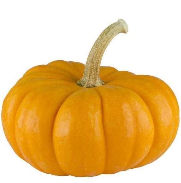 Organic Pumpkin or Butternut Squash Organic Pumpkin or Butternut Squash