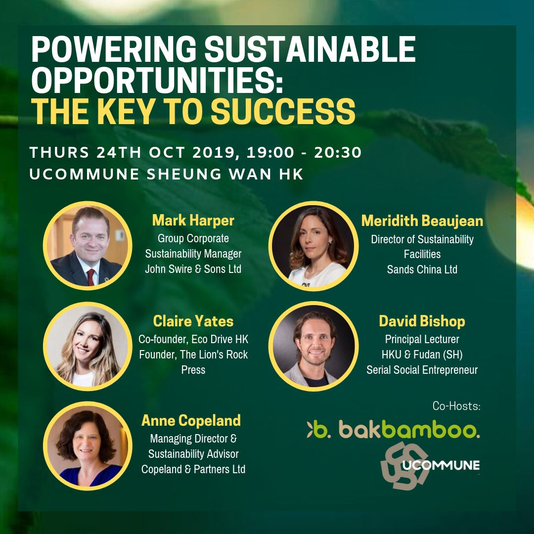 Powering Sustainable Opportunities: The Key to Success