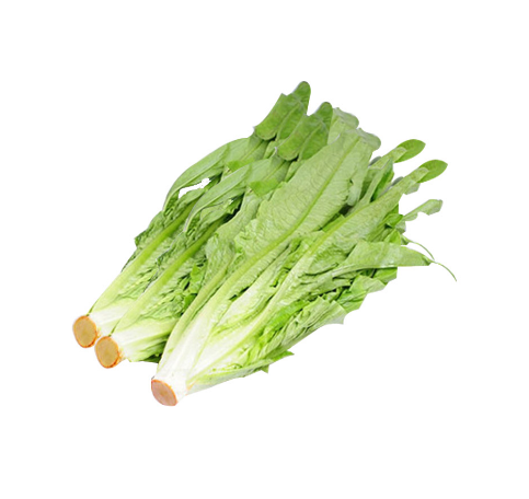 Organic Indian Lettuce