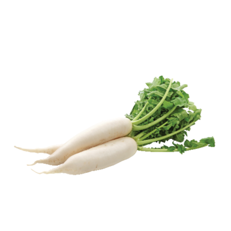 Organic Daikon Radish