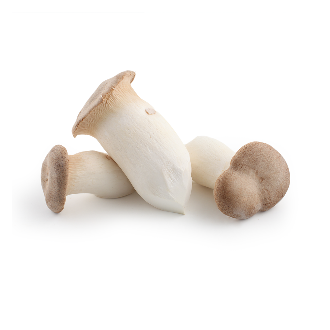 Organic King Oyster Mushroom