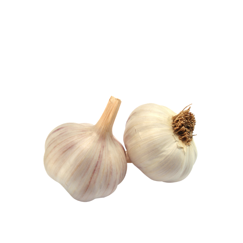 Organic Garlic