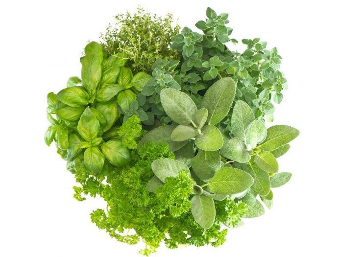 Organic Mixed Herbs