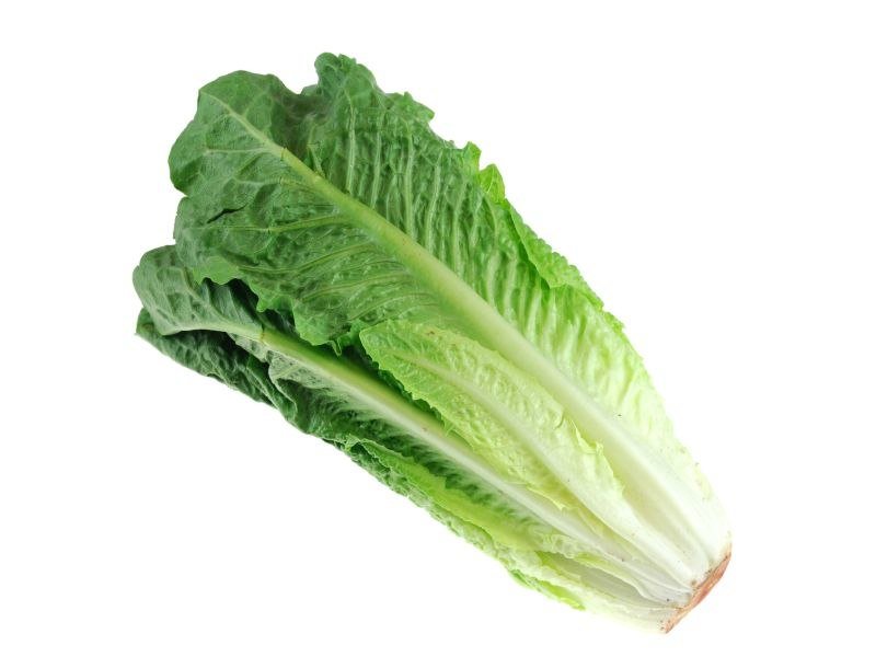 Organic Romaine Lettuce